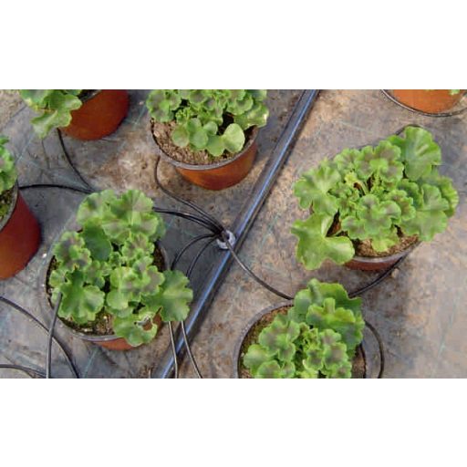 Palaplast Meduza csepegtető gomba 6x2 l/h PC