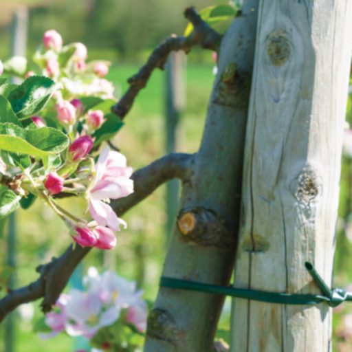 Flexibilis kötöző 3,9 x 30 m