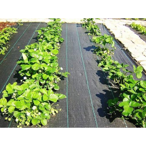 Agroszövet PPHA 100 g/m2, 1,05 m x 50 fm/52,5m2
