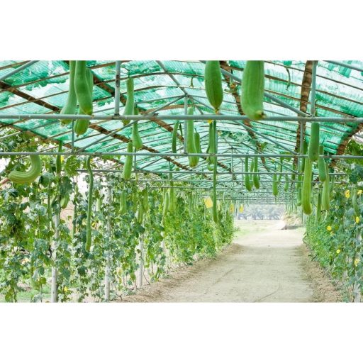 Árnyékoló háló - raschel háló 1,2 x 50 m zöld