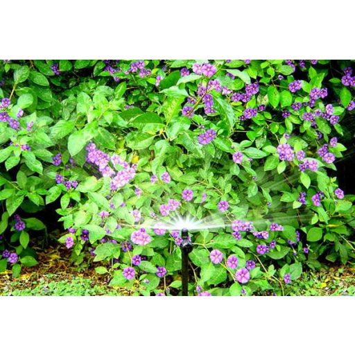 Mikroszórófej Idra 310 mm 360° 