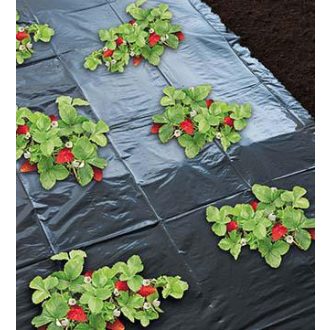 Eperfólia fekete perforált 1,4mx20m