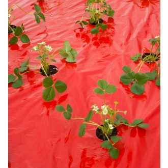 Eperfólia piros, 0,95mx10m, előre lyukasztott.