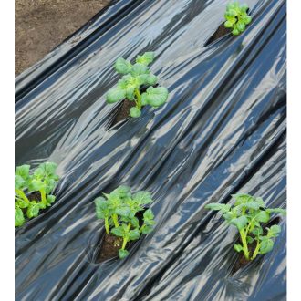   Takarófólia burgonyához, fekete 0,95mx10m, előre lyukasztott.