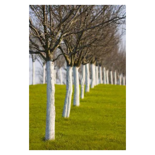 Biopon Kerti mész 3kg