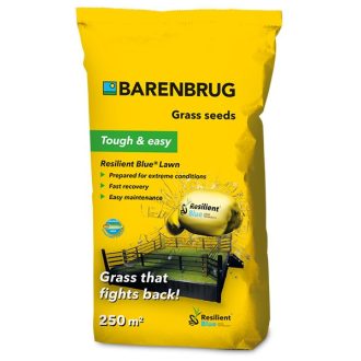   Barenbrug Resilient Blue Lawn fűmag (erős igénybevétel) 5kg