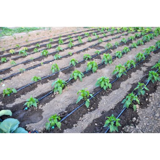 Polidrip csepegtetőcső, 20/33, 4 l/h, 100m/tekercs