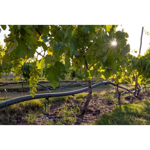 Polidrip csepegtetőcső, 20/33, 4 l/h, 100m/tekercs