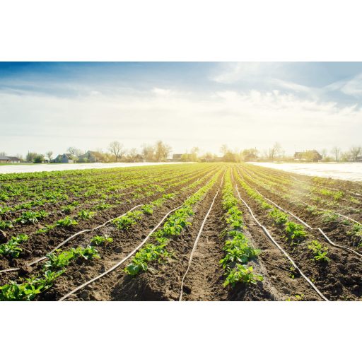 Sunstream csepegtető szalag 6mil, 10cm osztás, 3000m 10l/m